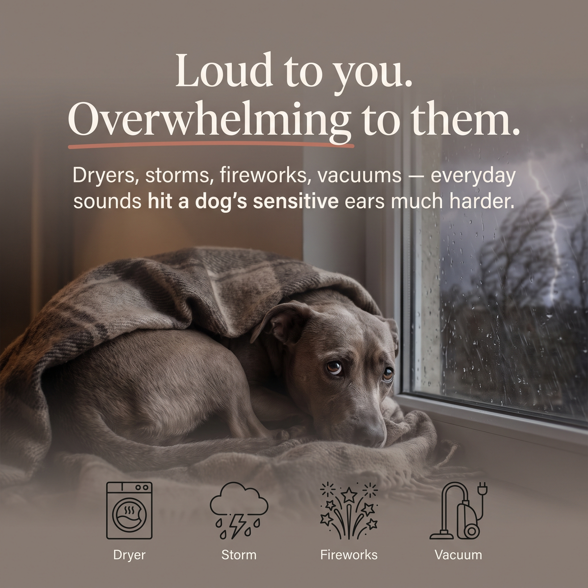 PawMuff™ Dog Ear Wrap