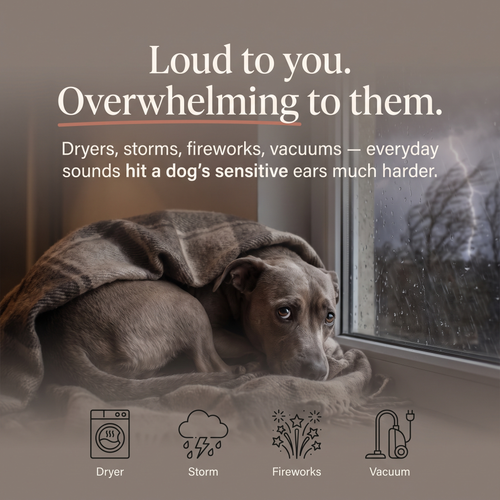 PawMuff™ Dog Ear Wrap